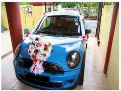 Top Style Car Decoration - WED0612