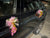 Creative Theme Car Decoration ( Gold/Pink) - WED072886