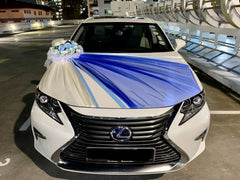 Blue/White Creative Theme Car Decoration - WED45855