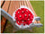 Just Rose - WED0188