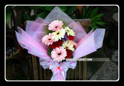 Gerbera Daisy Bouquet      - FBQ1488