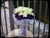 Rose n Eustoma Bridal Bouquet  - WED0187K