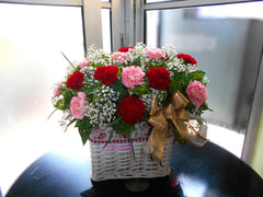 Carnation - TBF4013