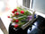 Single Tulip- FBQ1302