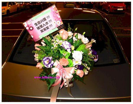 Bright and Blooming Venture    - GOP8057