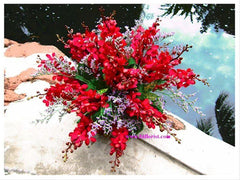 Orchid Arrangement (Without Stand)   - GOP8058