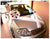 Special Design Car Decoration   - WED0627