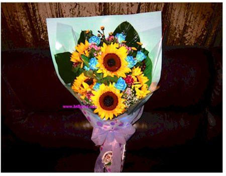 Sunflower & Blue Rose    - FBQ1153