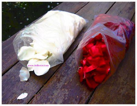Fresh Rose Petals- ROS2233val