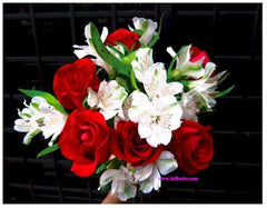 Pretty Blooms II   - WED0178