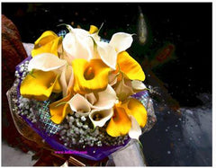 Lovely Calla Lily      - FBQ1163