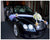 Premium Car Decoration Rental - REN6663