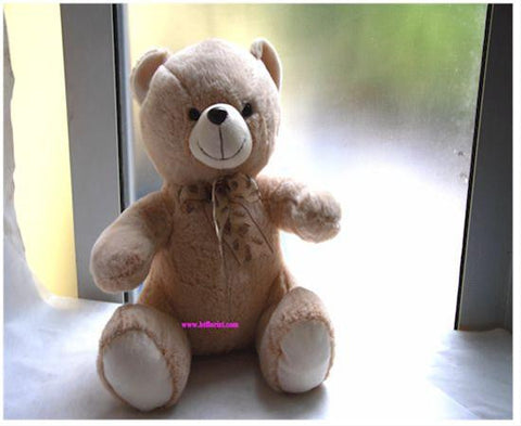 16 Inch Bear    - SS664