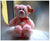 15 Inch Pink Bear     - MOD637