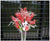 Fresh Orchid Arrangement  - ST8837