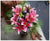 Lilies (In Vase)   - TBF4045