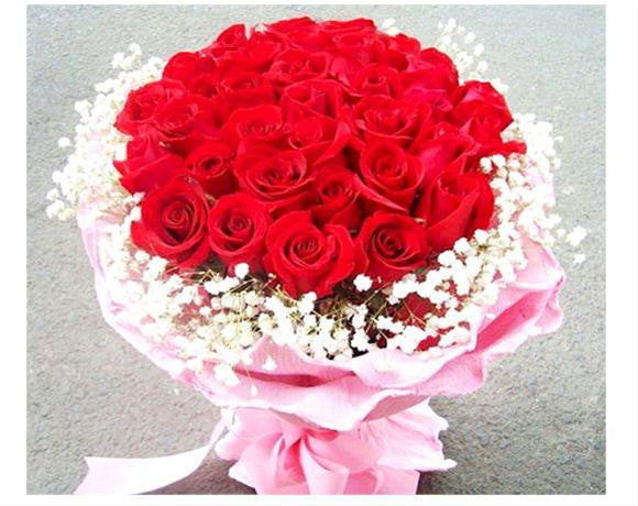 33 Red Roses 33 Red Roses - FBQ1173 – BTflorist