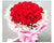 33 Red Roses       - FBQ1173