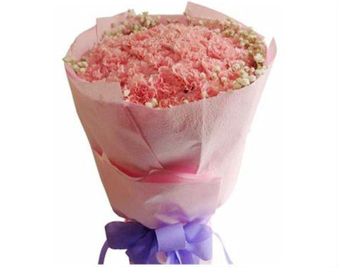 Carnation Bouquet  - FBQ1079