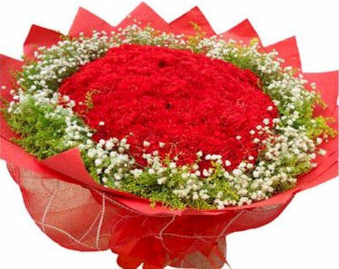 Carnation Bouquet - FBQ1188