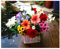Colourful Arrangement - WED0527