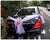 Purple/Pink Theme Car Decoration  - WED0660