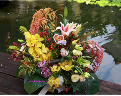 Colourful Garden  - FLB5019