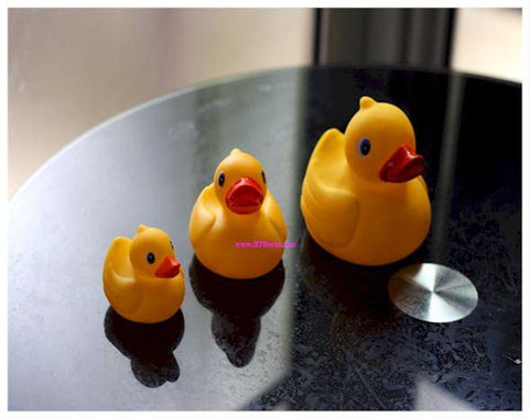 Cute Rubber Duckling       -  MOD667