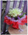 Lily & Rose Bouquet  - FBQ1196val