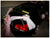 Wedding Bear Theme Car Decoration     - WED0673