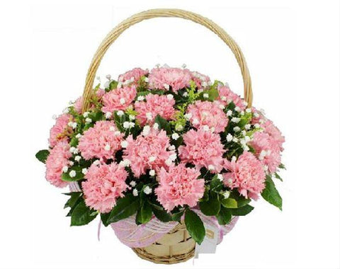 Carnation Basket - FLB5088