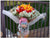 68 Tulip Special Bouquet   - FBQ1223