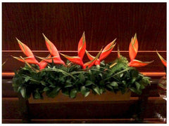 Heliconia Arrangement     -TBF4044