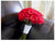 Simple n Elegant bouquet  - WED0278
