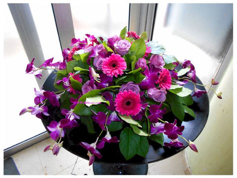 Purple Theme - WED0542