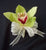 Simple Cymbidium Corsage - WED0233Q