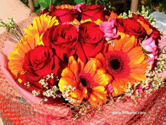 Gerbera & Rose     - FBQ1029