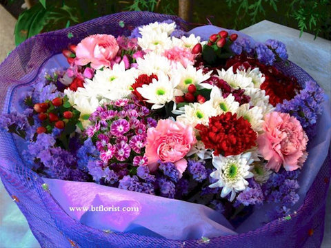 Carnation Mix     - FBQ1030