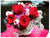 Red n Pink Blooms - TBF4022