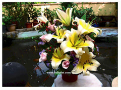 Lily n Rose   - TBF4015