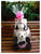 Premium Panda Stuffed Bear    - DIN002