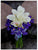 Elegant Bloom - WED0244