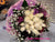 White Rose Bouquet - FBQ1012