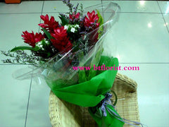 Tropical Delight     - FBQ10098