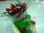 Tropical Delight     - FBQ10098