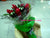 Tropical Delight     - FBQ1009