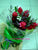 Tropical Delight     - FBQ1009