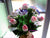 Best Wishes - FLB5002a