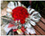 Passionate Love - FBQ1024