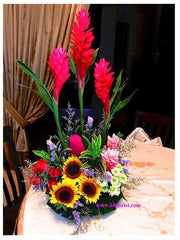 Alpinia Arrangement  - TBF4033